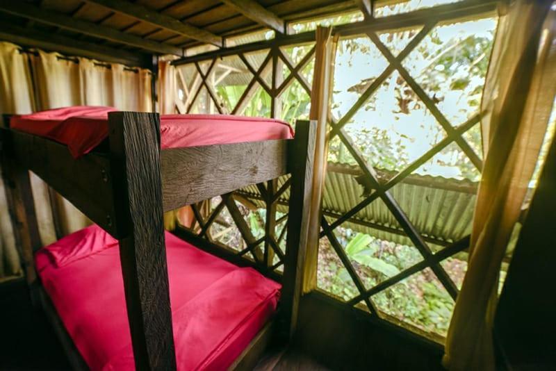 Paraiso Ayahuasca Hotel & Tours Puerto Narino Exterior photo