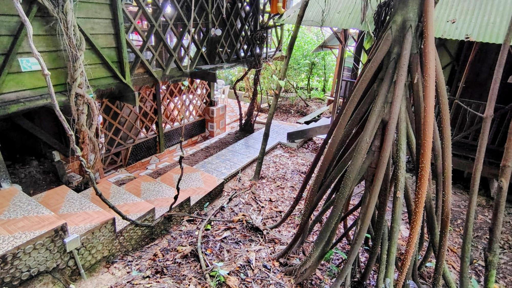 Paraiso Ayahuasca Hotel & Tours Puerto Narino Exterior photo
