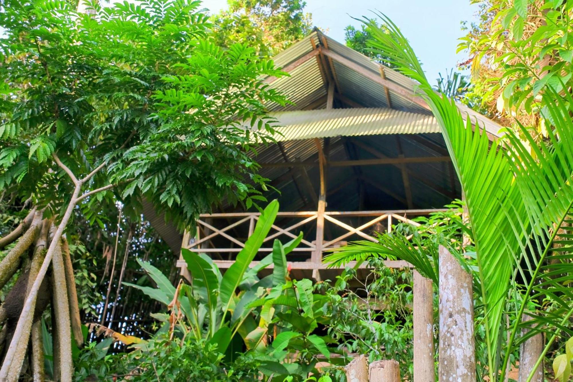 Paraiso Ayahuasca Hotel & Tours Puerto Narino Exterior photo
