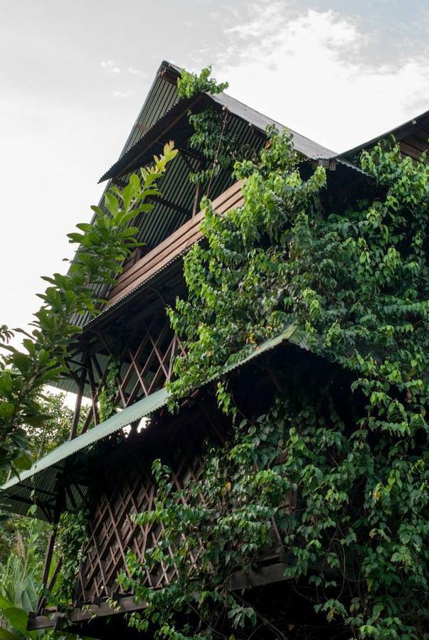 Paraiso Ayahuasca Hotel & Tours Puerto Narino Exterior photo